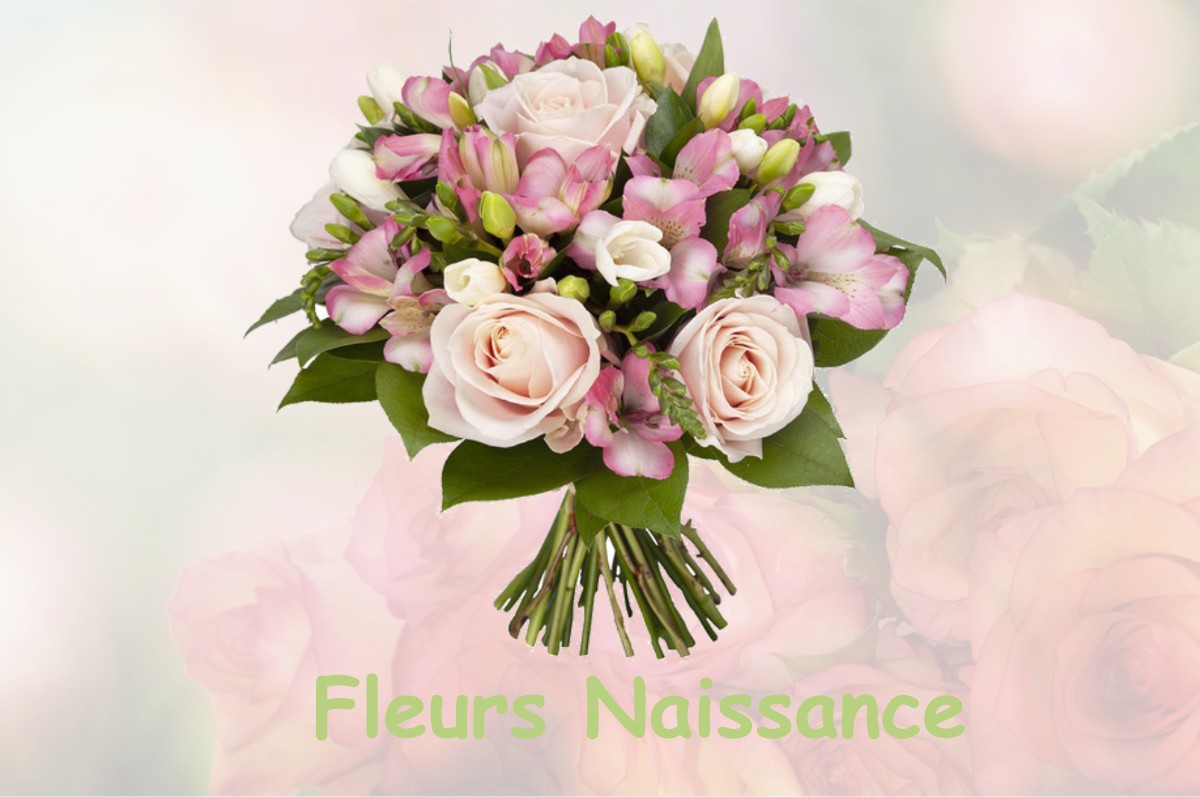 fleurs naissance MESNAY