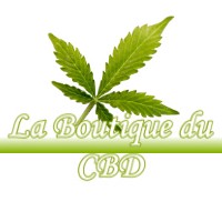 LA BOUTIQUE DU CBD MESNAY 